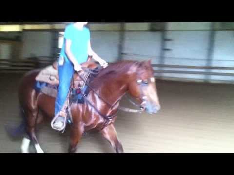 Stacy Westfall and Jac-first ride in Roxy's saddle