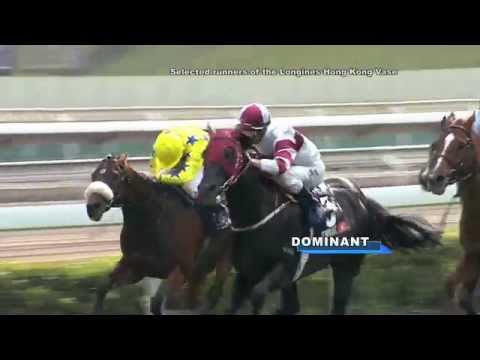 [HKIR 2014] Selected runners of the LONGINES Hong Kong Vase