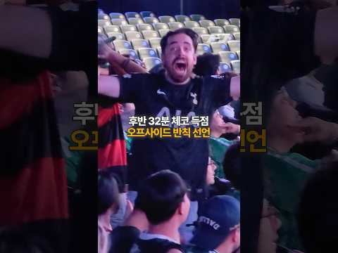 미국에서 한국인보다 더 한국 응원하는 외국인 팬ㅋㅋ