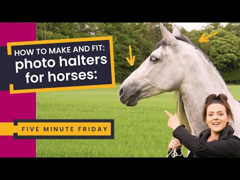 HOW TO & DIY: Make a Horse Photo Halter for Equine Photography + FIT IT SAFELY on Location