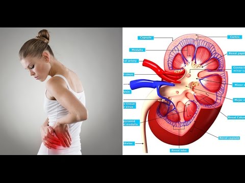 Natural Slimming Cream Kung magkano ang maaari mong mawala sa Reduxine nakaraang buwan