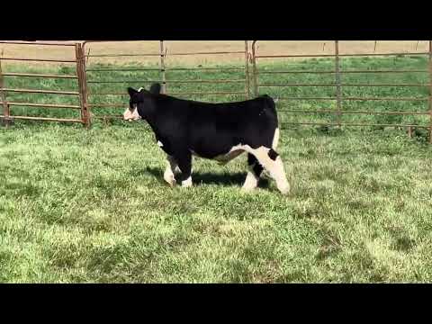 Tag 1 video