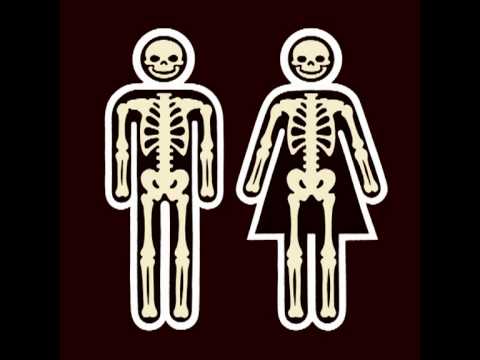 THE SHIT - ON THE RADIO