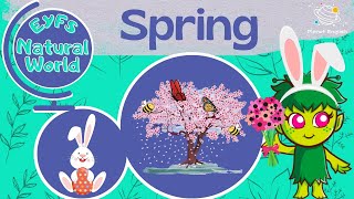 All About Spring for Kindergarten | EYFS