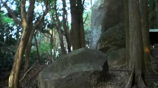 preview picture of video '金峰山（熊本市）拝ケ石巨石群（おがみがいしきょせきぐん）ペトログラフ'