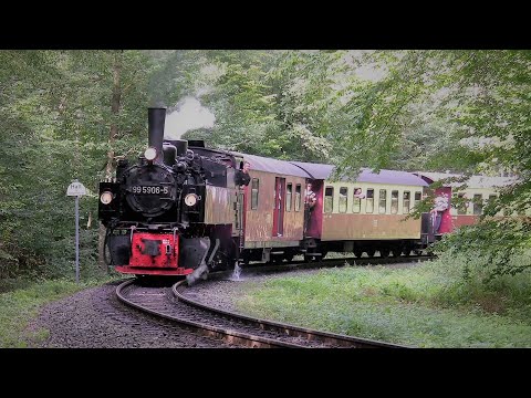 Volldampf auf der Selketalbahn