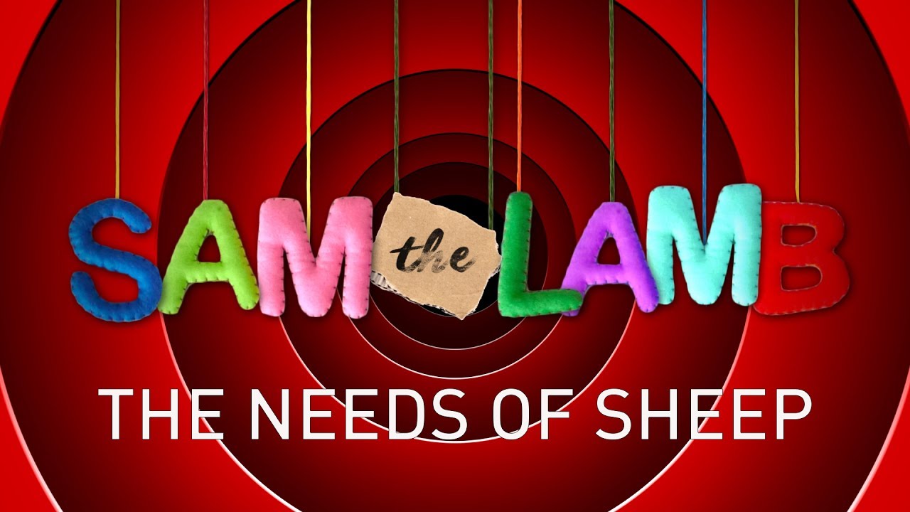 Sam the Lamb - The needs of sheep