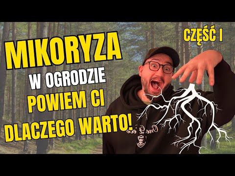 Dlaczego Mikoryza odmieni Twój Ogród? Grzyby Zamiast Nawozów! Cz.1