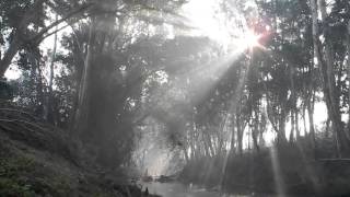 Misty River Sunbeams ~ the Fog, Parov Stelar