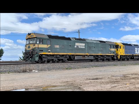 Pacific National G523 BL26 G520 7902V train Tottenham