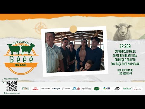Caprinocultura de Corte Bem Planejada: Conheça o Projeto com Raça Boer no Paraná - EP 269