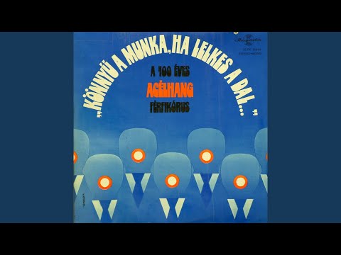 Video thumbnail for Legénycsúfoló