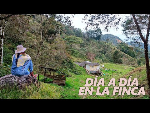 MIS DÍAS VIVIENDO en una FINCA de 5 HECTÁREAS │Candy Bu