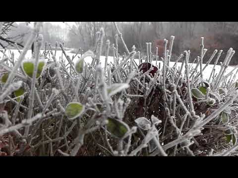 ❄ Nadeszła zima ❄