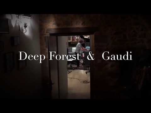 DEEP FOREST  &  GAUDI -  in the studio  (chapter 4)