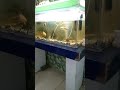 Nadi Ke Pass Mein Ghar Hai Gamo Ka Pala Qawwali