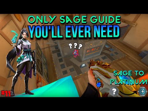 The ONLY Sage Guide You'll EVER Need | Sage To Platinum #11
