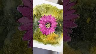 Osteospermum for Day 6 of March Watercolor Challenge #colorsofspring