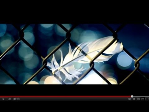 Adrian Sina feat. Sandra N. - Angel (Official Video)