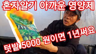 딱 맘에드는 영양제 고추정식 4일째 살포 참외 오이 감자 수박등 살포 귀농귀촌 텃밭 주말농장