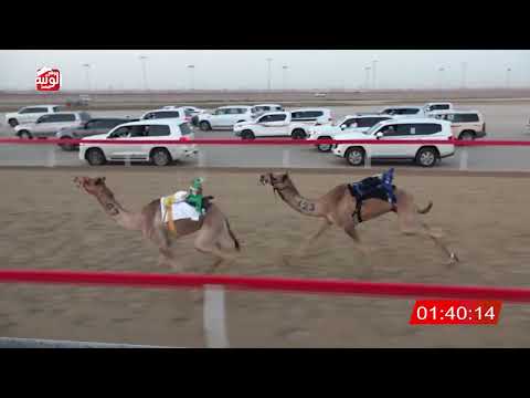  ش 2 (الكايد) لـ سهيل بن نخيرات العامري 2:12:70 , شارة الصندوق 2026/03/14 فطامين الوثبة