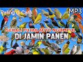 Suara Pikat Semua Jenis Burung Kecil Mp3 Pikat Paling Ampuh Terbukti