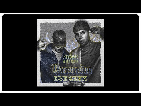 David Guetta, BZRP & QUEVEDO - Without You vs. BZRP Music Sessions Vol. 52 (NOISH Mashup)