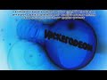 I Accidentally Silver Lining Productions Treehouse Nelvana Nickelodeon 2009 Logos