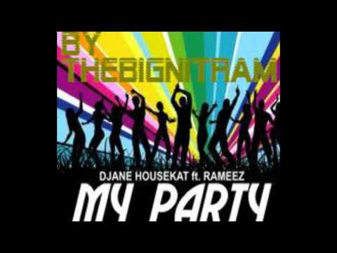 My Party (Radio Version) Djane Housekat Feat. Rameez