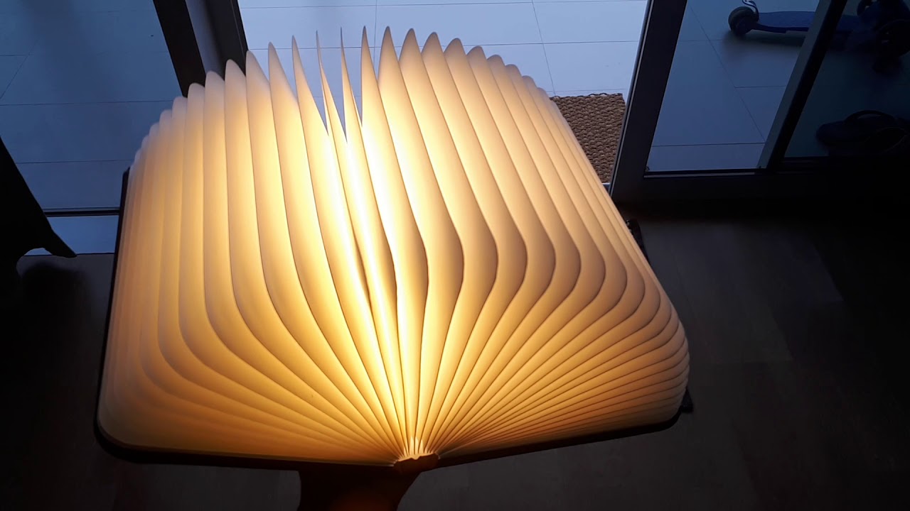 LED Book Lamp (unique gift ideas)