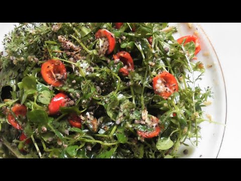 Recipe: Wild herb salad in November