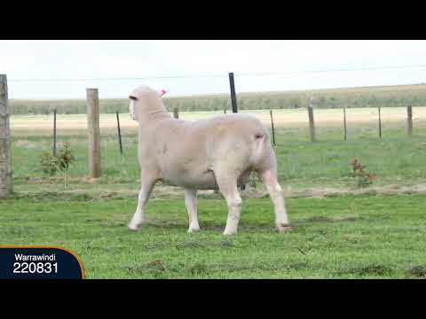 Warrawindi Farms 22-0831