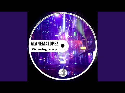 Funkyflow (Original Mix)