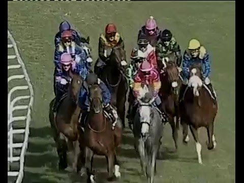 Legislate - 2014 Daily News 2000 Gr1 - INTERVIEW