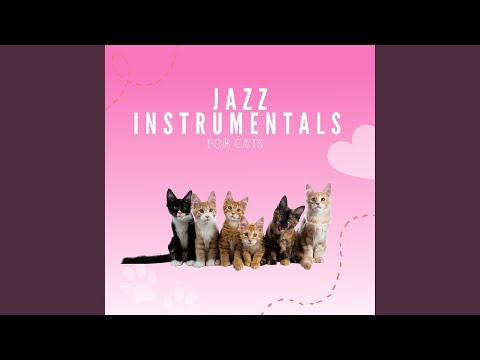 Kittens Jam To Anything