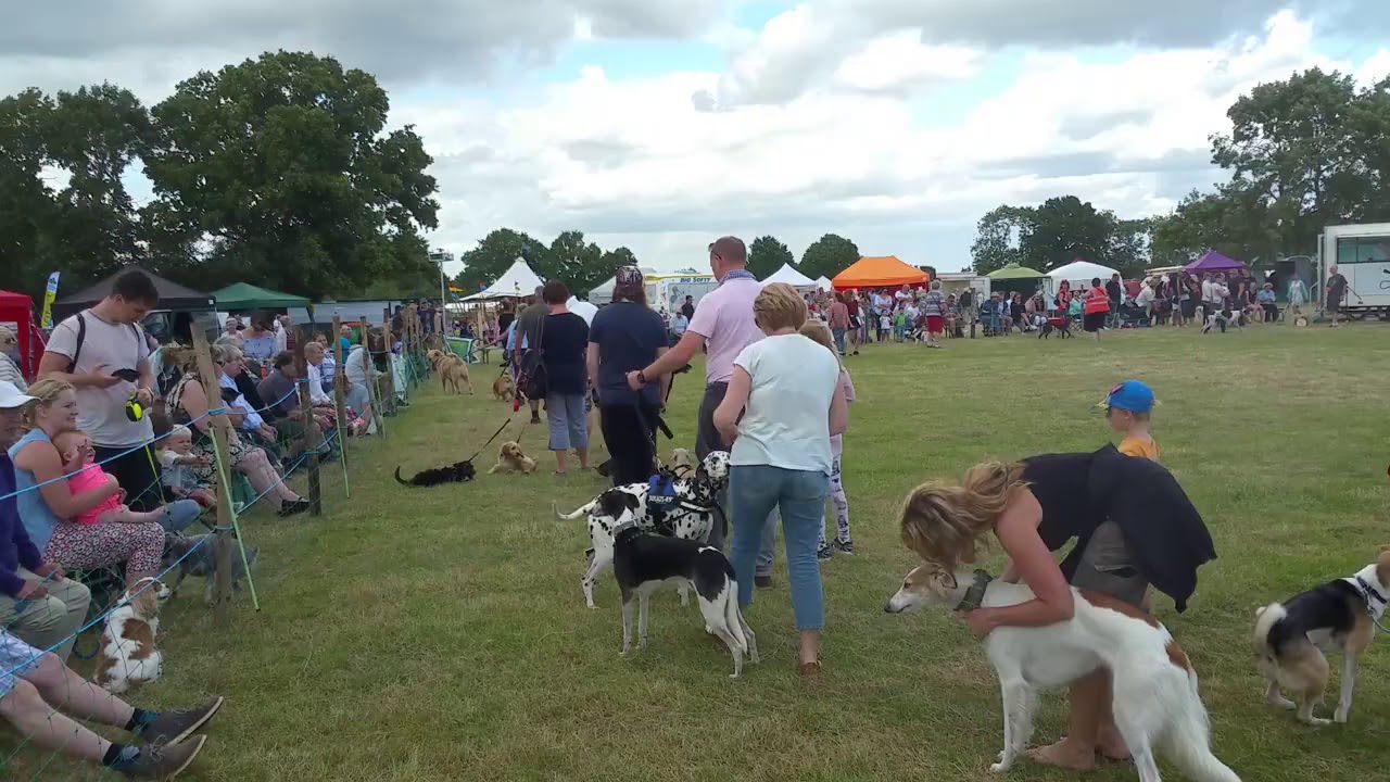 Tractorfest 2017 - KGR Dog Show