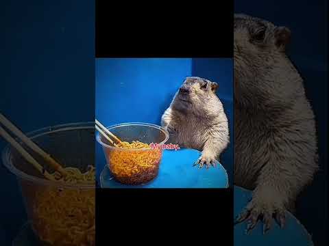 He looked soo scared 😭😭 #sad  #abused