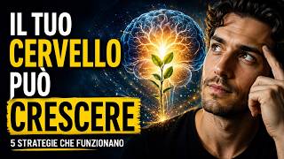 Il tuo cervello è davvero “fisso”? Cinque modi per imparare meglio, ragionare e risolvere problemi
