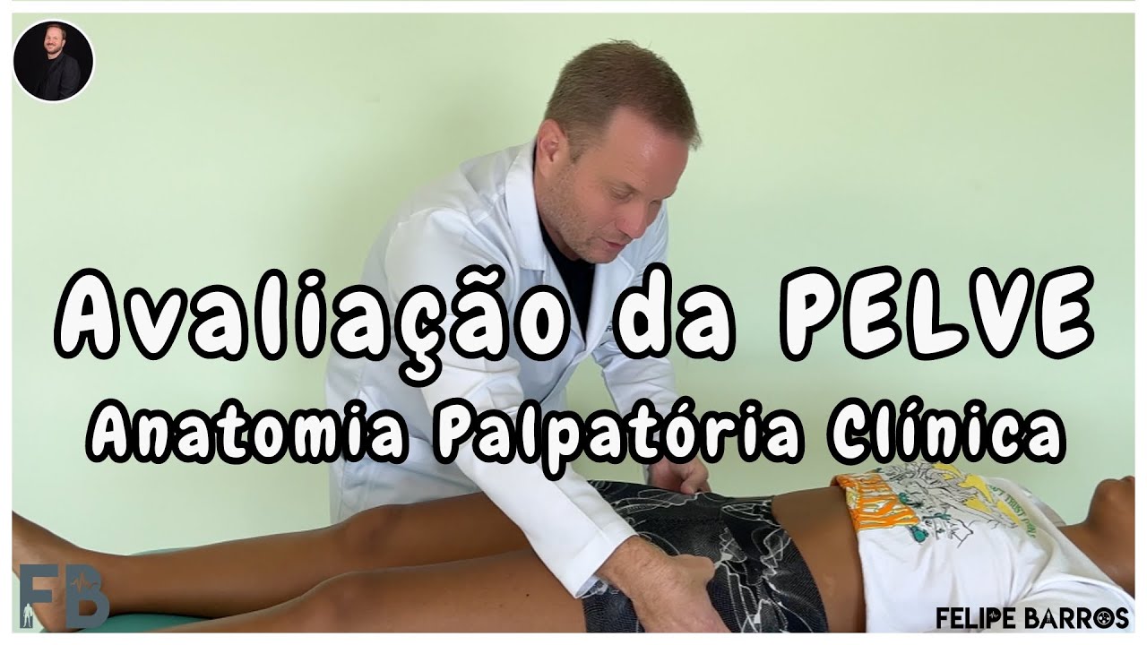 Pelve - Anatomia Palpatória Clínica | Prof. Felipe Barros