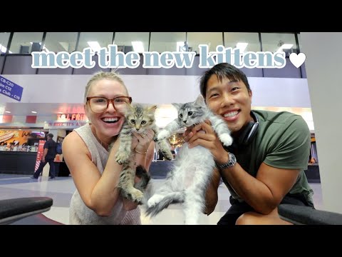 picking up our new pets!!
