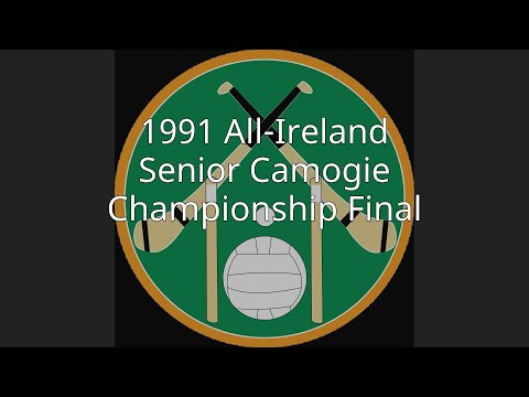 1991 All-Ireland Senior Camogie Championship Final