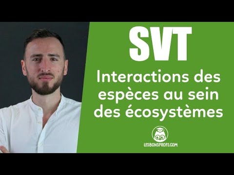 Les interactions des espèces au sein des écosystèmes