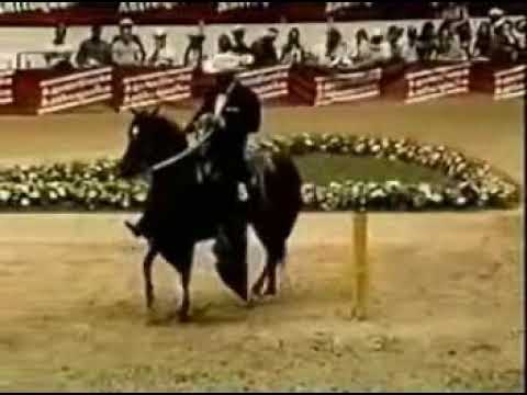 Deja Las Copas - Jose Arbey