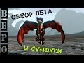 ArcheAge. Детеныш Гартарейн И Сундуки с Азурионом! 