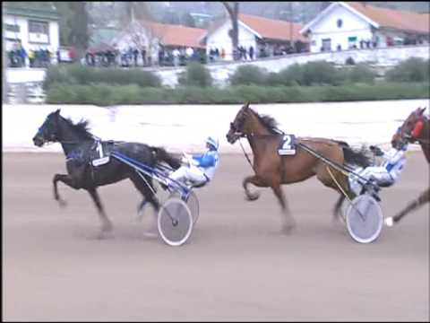 Trotto 19/03/2017 - 5ª corsa