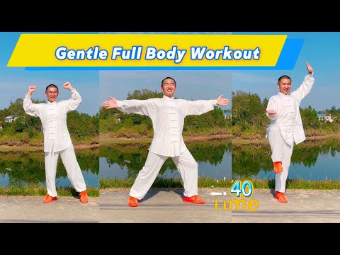 Body Harmony