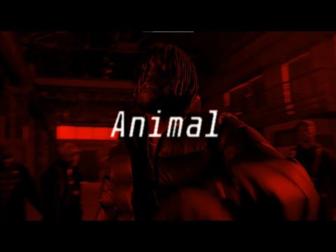 [Free] Pop Smoke x Gazo type beat /Emotional drill type beat - "Animal" (prod. Mujik)