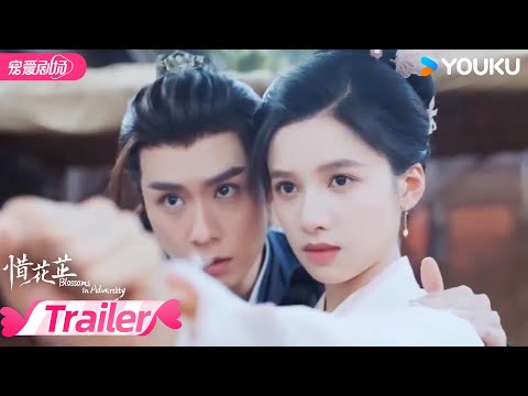 Trailer Tích Hoa Chỉ