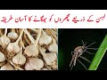 Ghar Se Machhar Bhagany Ka Asan Tarika | Ghar se machhar bhagane ka desi tarika | Mosquito killer