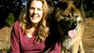 Plants are Pets, Too